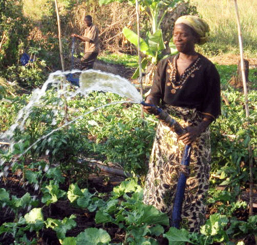 Lestina joined a farmers group in 2007. Through training by the Reformed Church of Zambia and funding from World Renew and CFGB, she is learning new techniques to improve her crops.