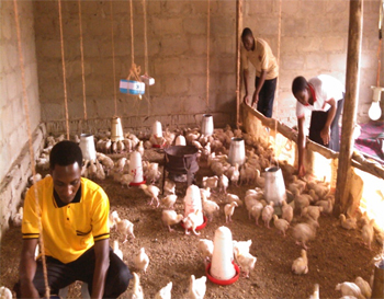 A few of the members with their flock of chickens A few of the members with their flock of chickens