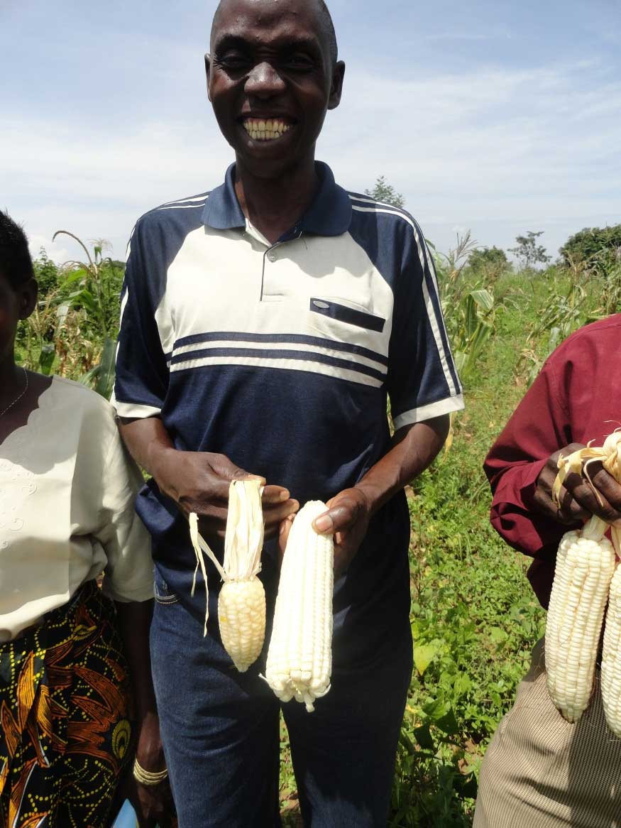 Above: Farmer Jackson Welelo from Bukokwa village proudly showing the difference between corn planted traditionally (left) and corn planted with improved agricultural practices (right) learned from SISA (using bio-fertilizer, improved seeds, better spacing and irrigation). These two vastly different corn are from side-by-side fields. They expect to get five times their previous harvest.
