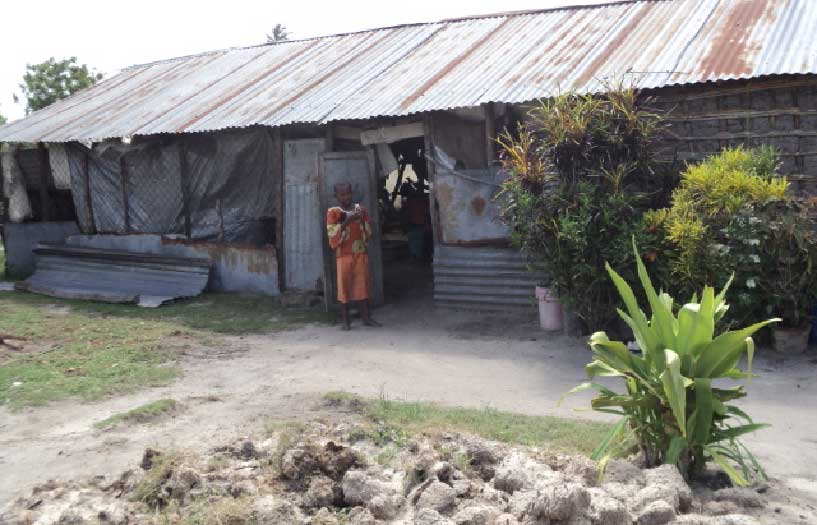 Above: Mary in her old chicken coop home, Top: Mary, in front of her new home under construction