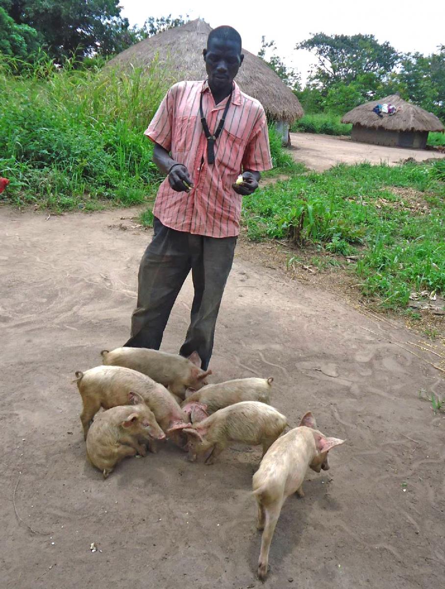 Richard with his piglets
