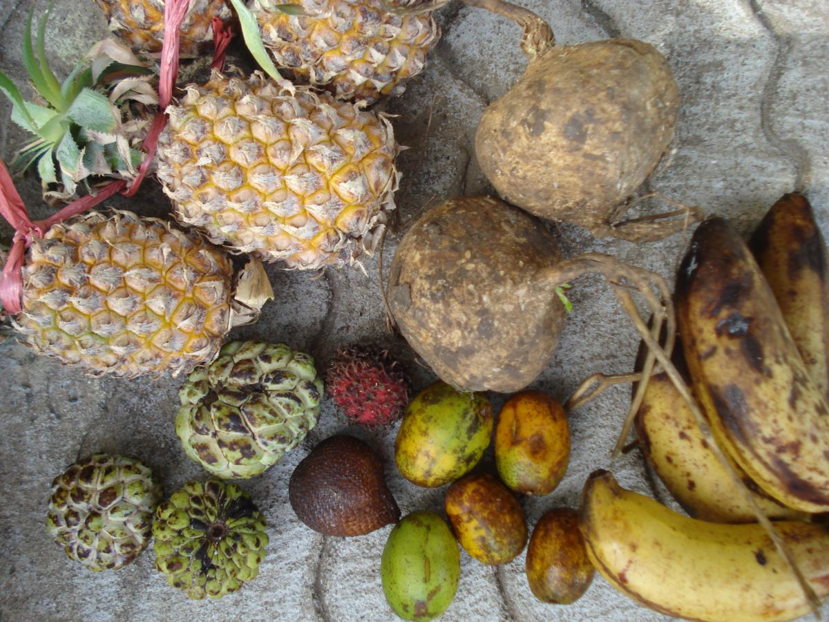 Can you name these fruits?