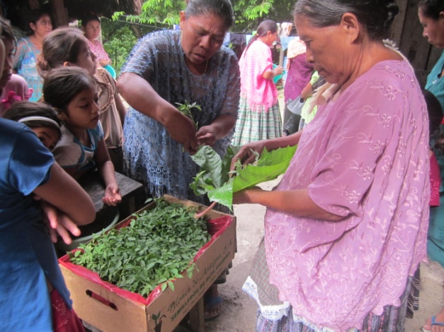 Market day