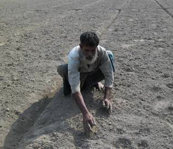 Nurul, farmer, Bangladesh