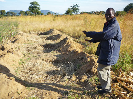 An Agricultural Extension Officer in Eastern Zambia shows off his “fertility ditches.”  The technique allows farmers to maintain  high soil fertility for up to three years on one plot of land.
