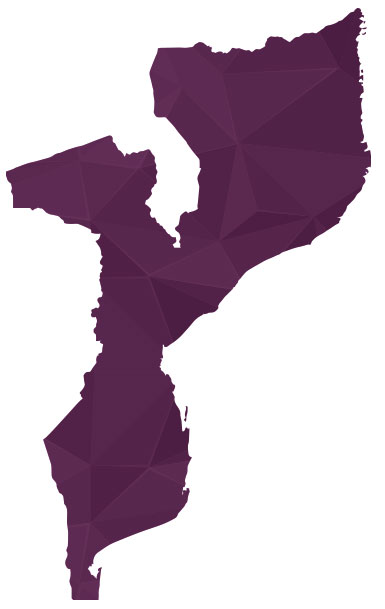 purple Mozambique