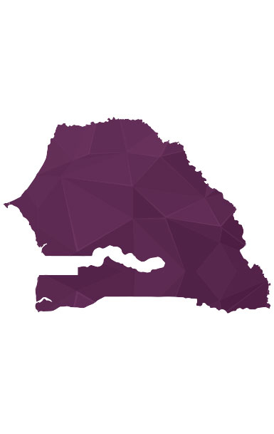 purple Senegal