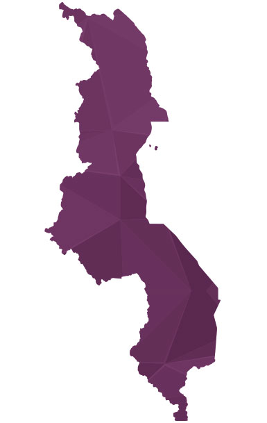 purple malawi
