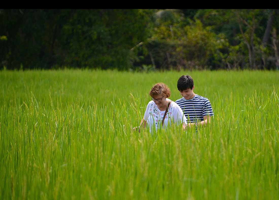 a woman and young man walking through tall grass in Cambodia