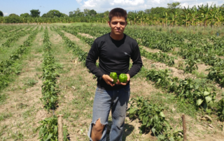 Carlos standing in a field holding produce