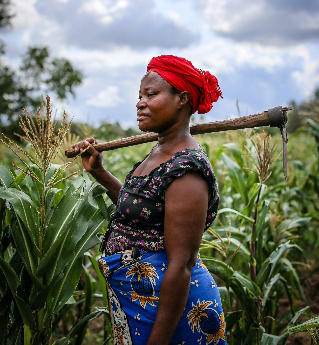 African woman standing in a field of crops with a gardening tool