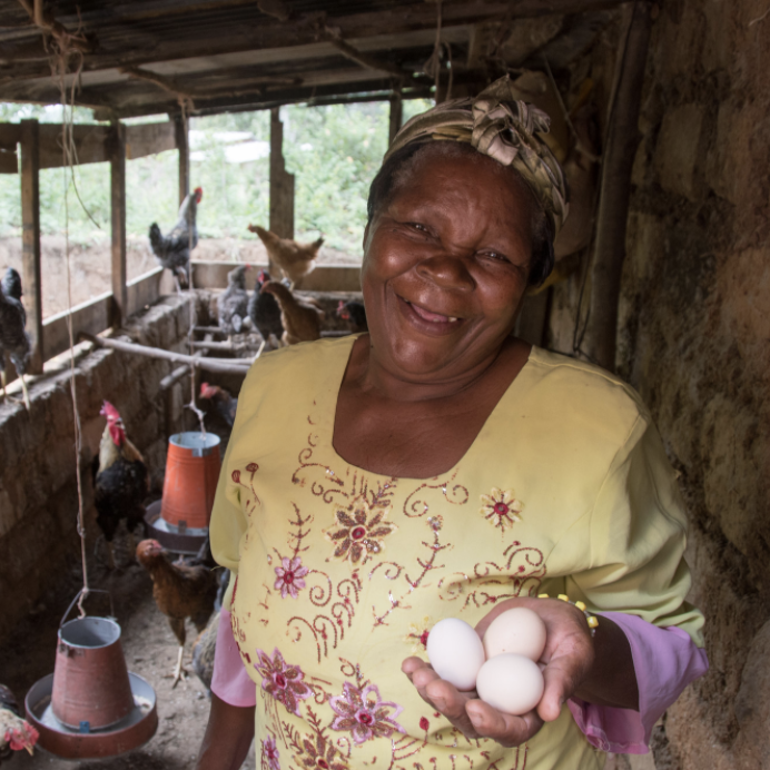Screen Shot 2020-11-16 at 2.39.23 PM Kenyan woman smiling in a chicken coup and holding three eggs