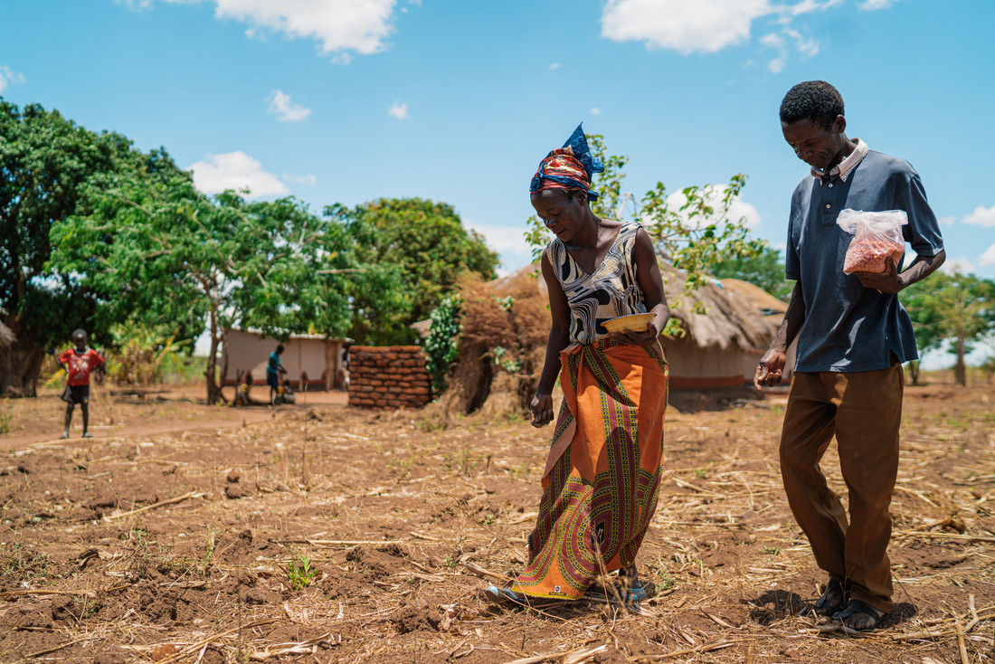 Small-scale producers key to attaining food security and ending hunger, Working in development