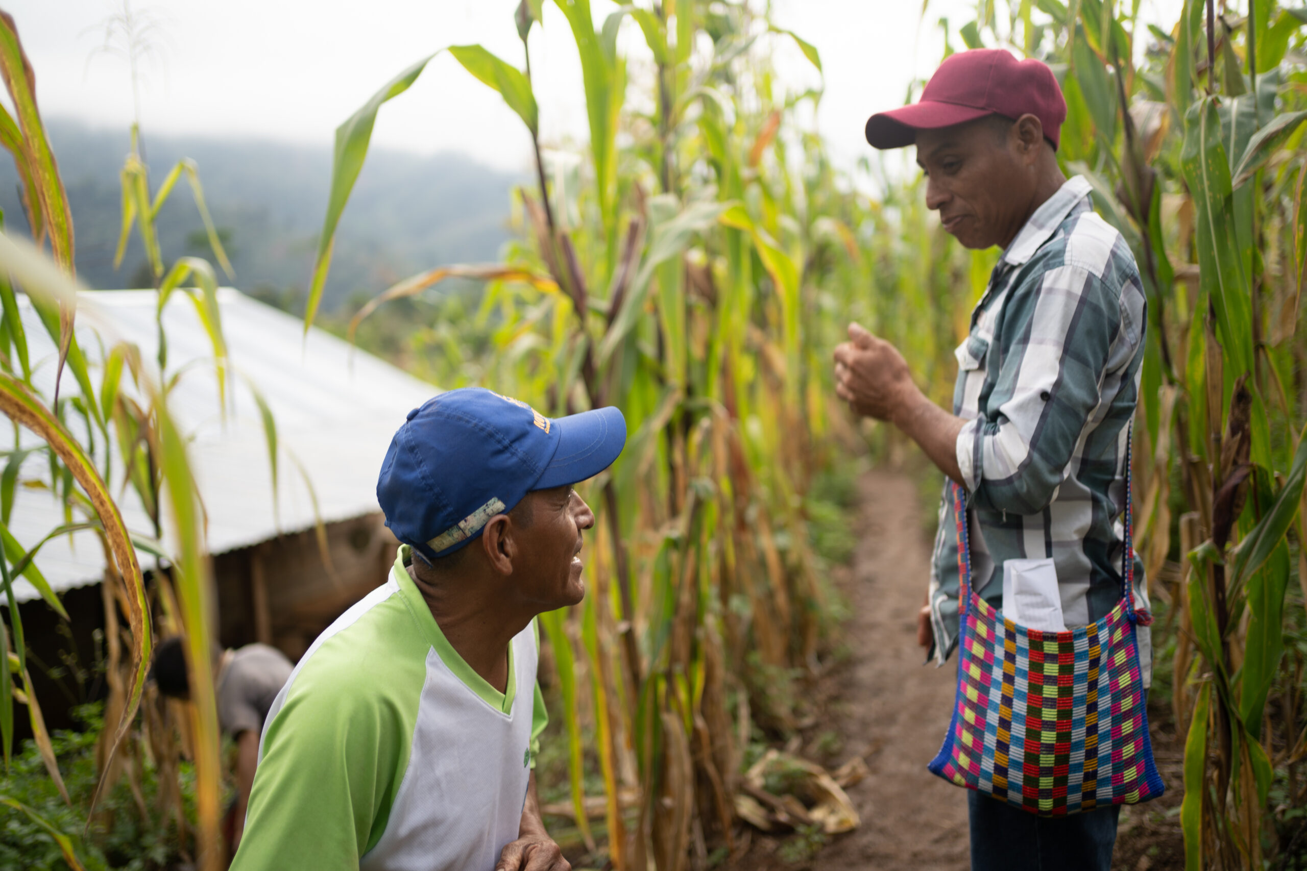 RS37138_Guatemala Web Story (2)