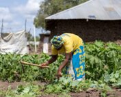 Woman tending a vegetable garden with a hoe, wearing a yellow shirt and patterned skirt.