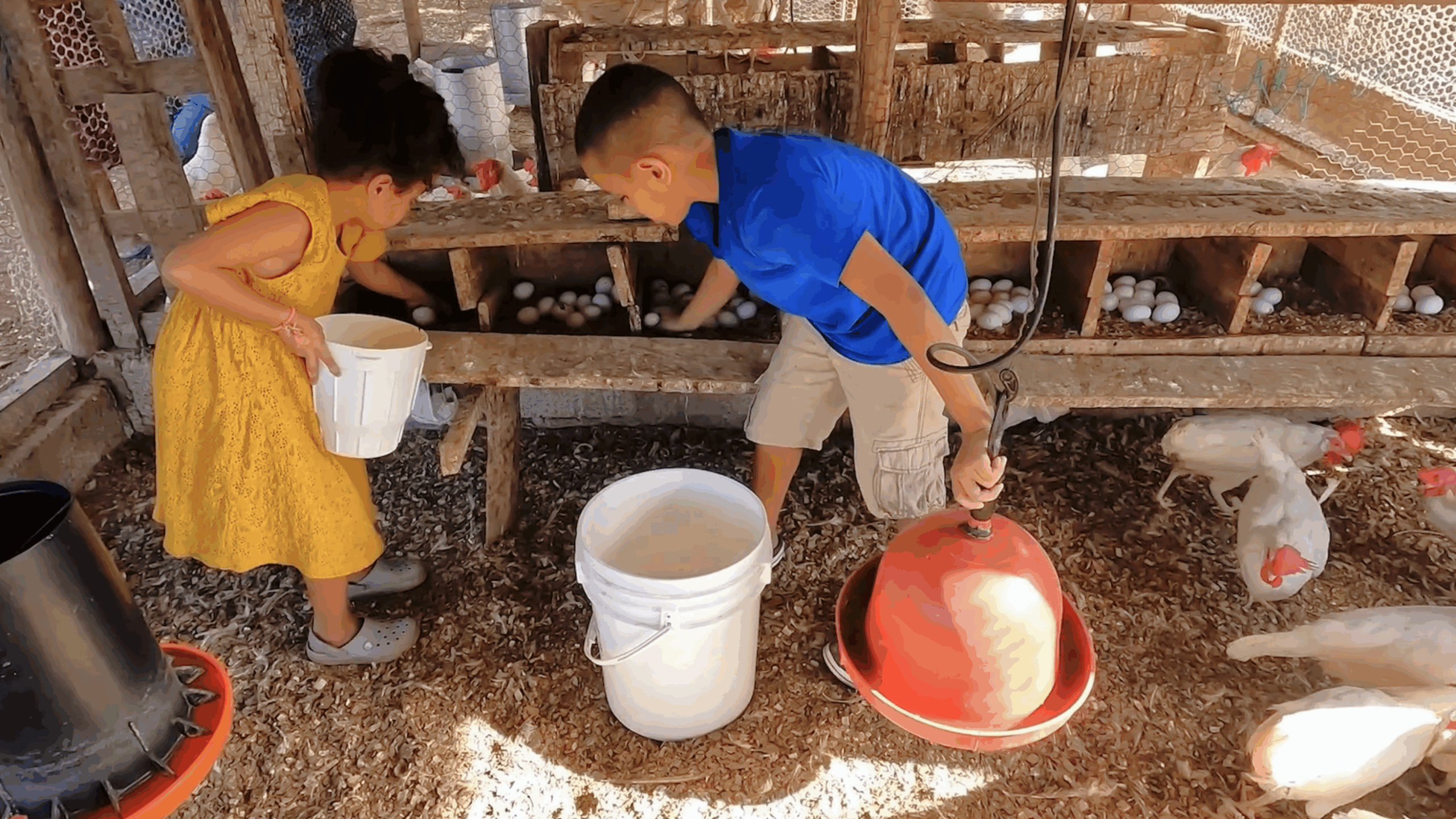A woman holds chicken