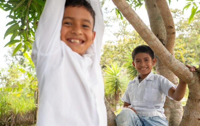 Two boys climbing a tree and smiling