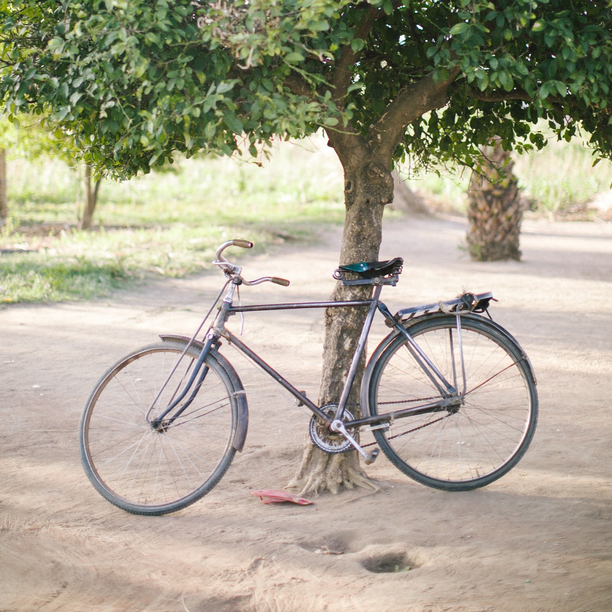 RS28999_Giving Guide Gender Equality 2026